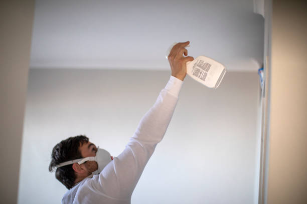 Best Commercial Mold Removal  in Sand Ridge, NY