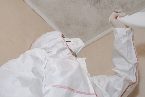 Best Mold Testing  in Sand Ridge, NY
