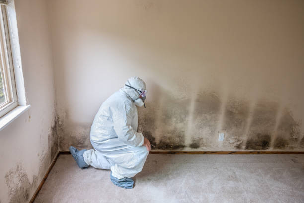 Best Crawl Space Mold Removal  in Sand Ridge, NY